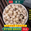 沈之问 莲子100克/袋