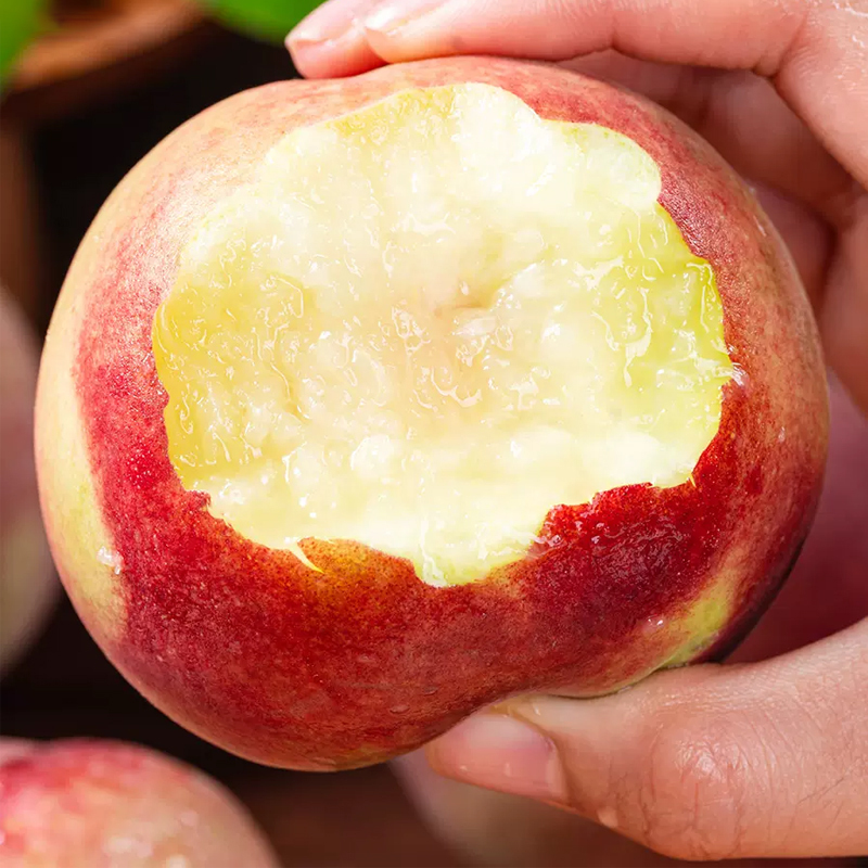 西沛桃李类报价_参数_图片_视频_怎么样_问答-苏宁易购