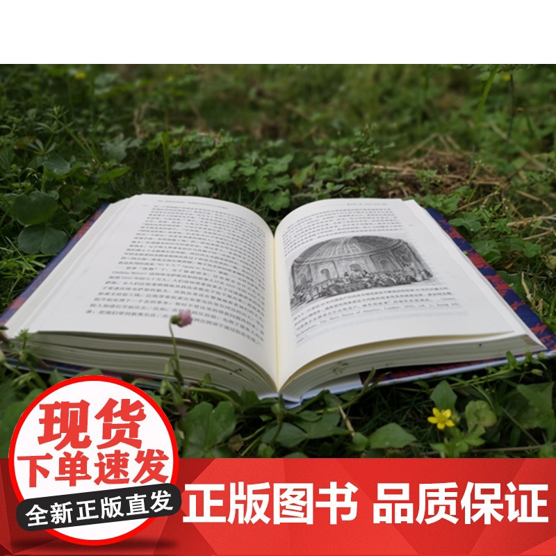 被掩盖的原罪 奴隶制与美国资本主义的崛起 精装 一段开创性的历史表明美国的经济霸权 建立在千千万万奴隶的苦难之上高清大图