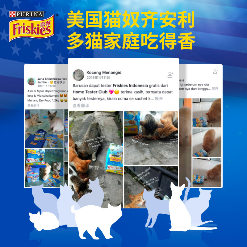 喜跃海鲜拾趣成猫全价猫粮海鲜味10kg