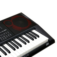CASIO/卡西欧 CT-X3000 电子琴 卡西欧61键 成人 初学 电子琴 家用 儿童初学 入门 多功能 力度键