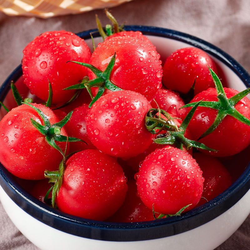 广西百色圣女果新鲜蔬菜小番茄樱桃西红柿当季整圣女果