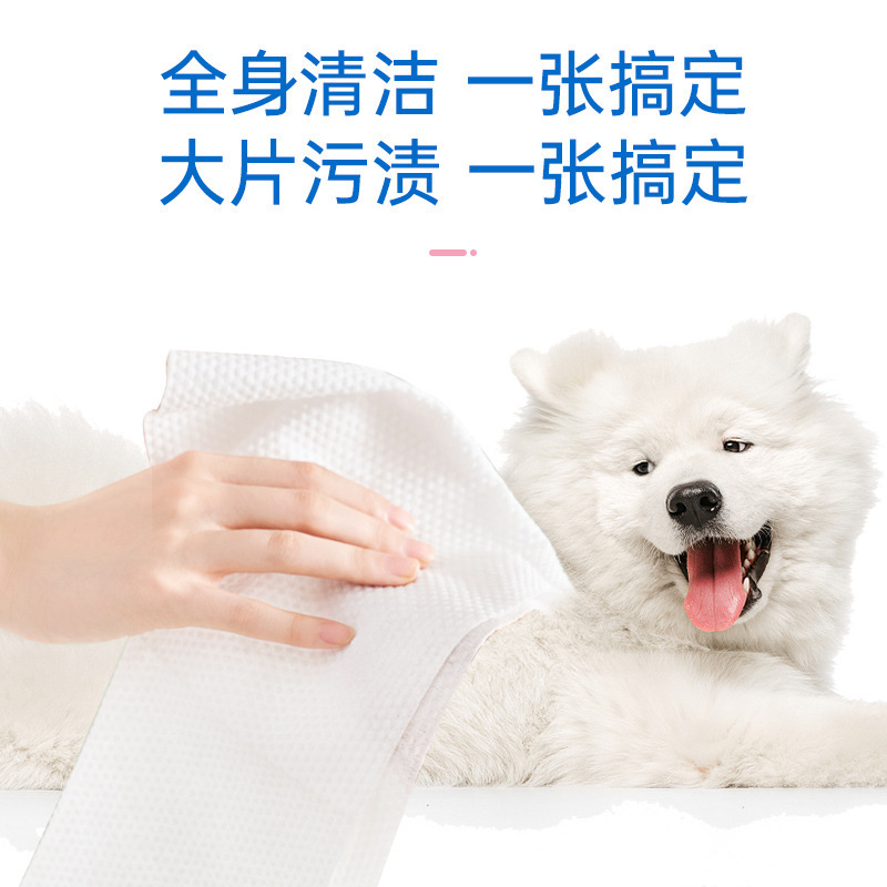 80抽加大加厚宠物免洗湿巾猫咪狗狗干洗清洁屁股爪子眼部清理湿巾C1918苏宁极物