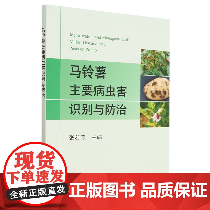 马铃薯主要病虫害识别与防治 张若芳 编 中国农业出版社9787109199866高清大图