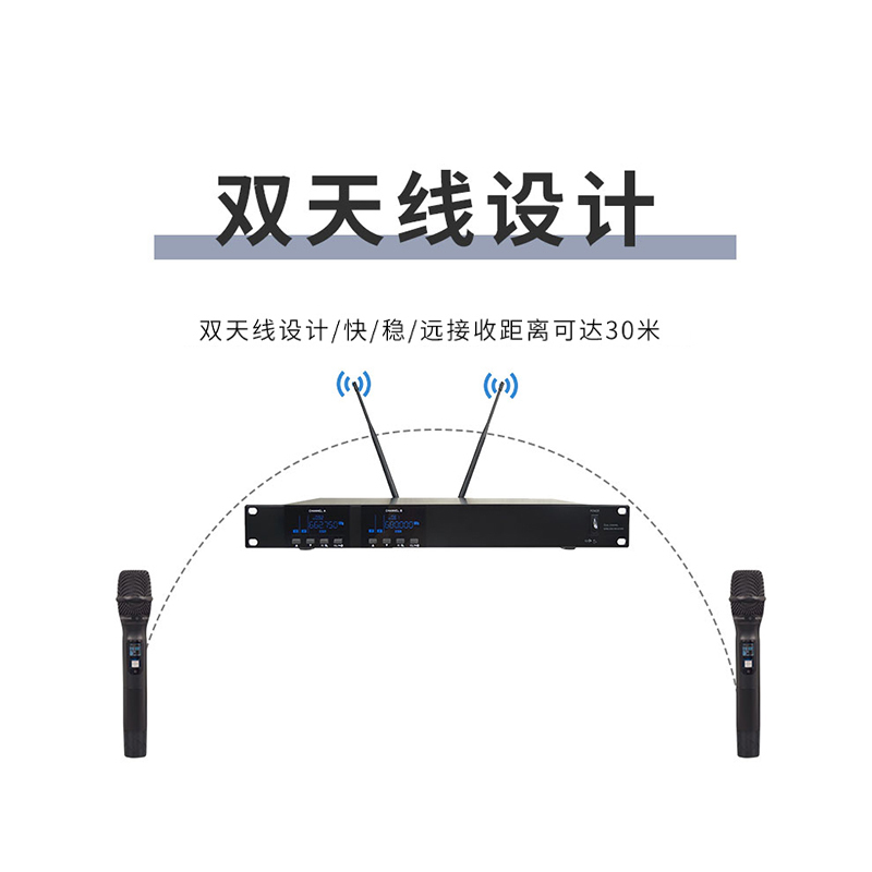 润普Runpu RP-WH9002S 会议室礼堂报告厅直播/演讲/智慧教育真分集专业无线一拖二手持式麦克风
