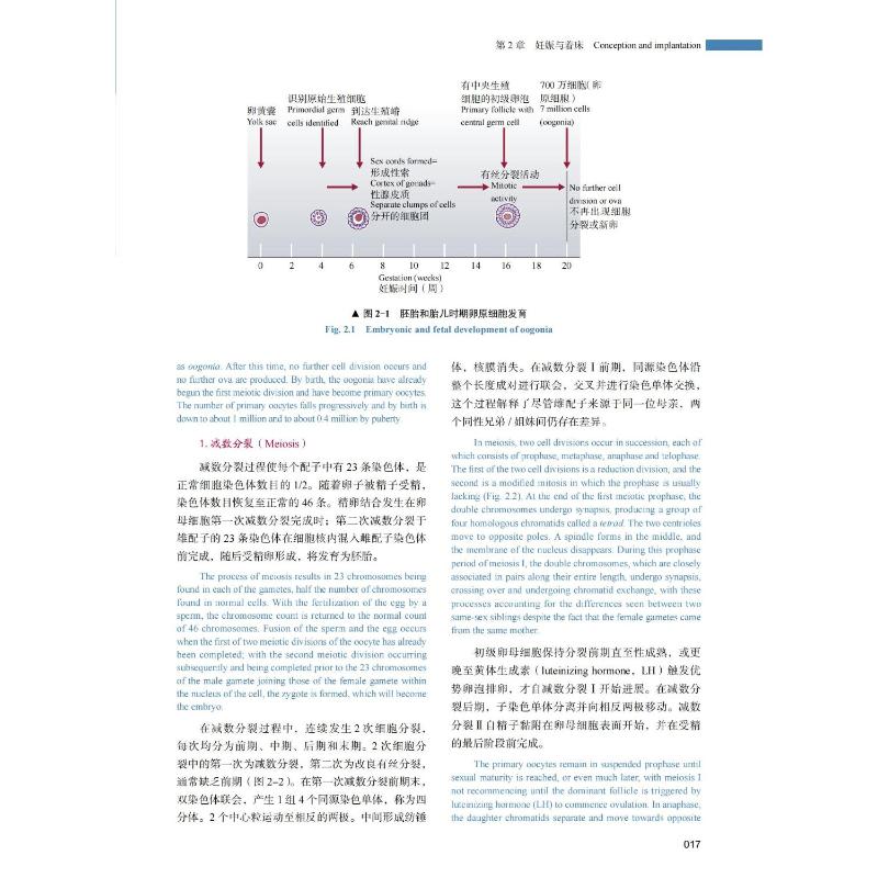 [正版]妇产科学 原书第6版 中英双语版 (澳)伊恩·西蒙兹,(英)萨巴拉特南·阿鲁库马兰 著 陈子江,石玉华,杨慧霞高清大图