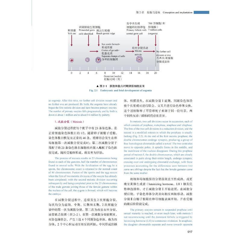 [正版]妇产科学 原书第6版 中英双语版 (澳)伊恩·西蒙兹,(英)萨巴拉特南·阿鲁库马兰 著 陈子江,石玉华,杨慧霞