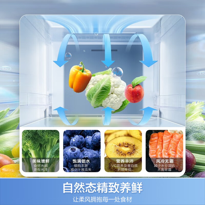 容声(Ronshen) 646升 对开门冰箱 双开门 一级能效 变频风冷无霜智能 国补BCD-646WD11HPA