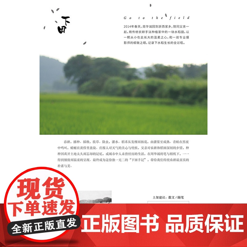 下田:写给城市的稻米书 周华诚 生活书店出版有限公司 正版书籍高清大图