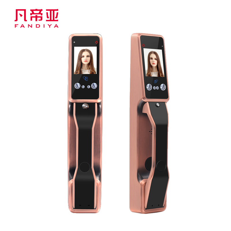 凡帝亚智能门锁FDY-RLSB06人脸识别静掌纹识别电子锁