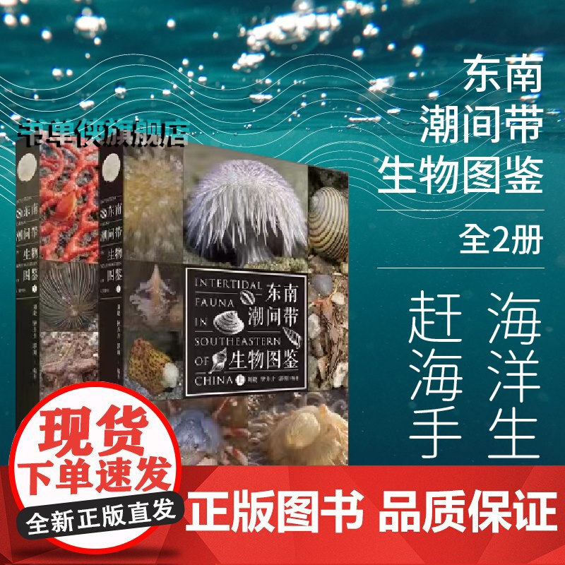 正版 东南潮间带生物图鉴 海峡书局 海洋生物赶海手册 赶海指南海洋生物图鉴海洋生态环境中国螃蟹 科普百科水生动物图谱