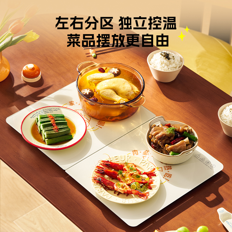 DAEWOO大宇暖菜板 WB09高清大图