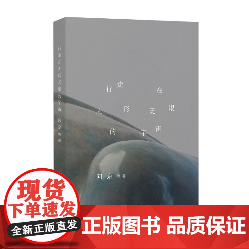 2023豆瓣年度书单]行走在无形无垠的宇宙 向京等著 艺术理论书籍 广西师范大学出版社高清大图