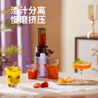 荣事达Royalstar原汁机 多功能家用电器榨汁机全自动冷压炸果汁果蔬机渣汁分离RZ-H300A