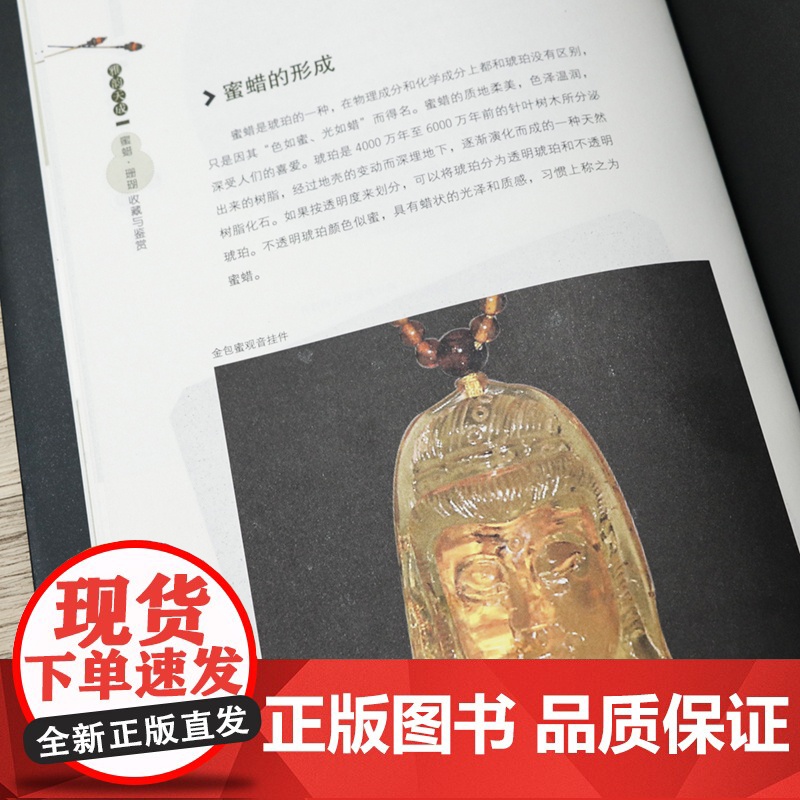 正版蜜蜡珊瑚收藏与鉴赏世界高端文化珍藏图鉴大系古玩鉴赏收藏入门基础知识从新手到行家 蜜蜡珊瑚收藏保养技巧选购技巧高清大图