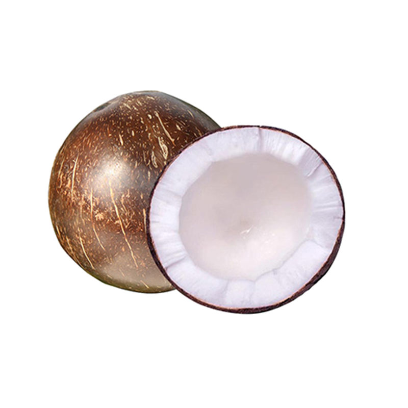 [西沛生鲜]海南黑椰王 1个装 单果550-950g 新鲜椰子 当季热带水果 汁水充沛高清大图