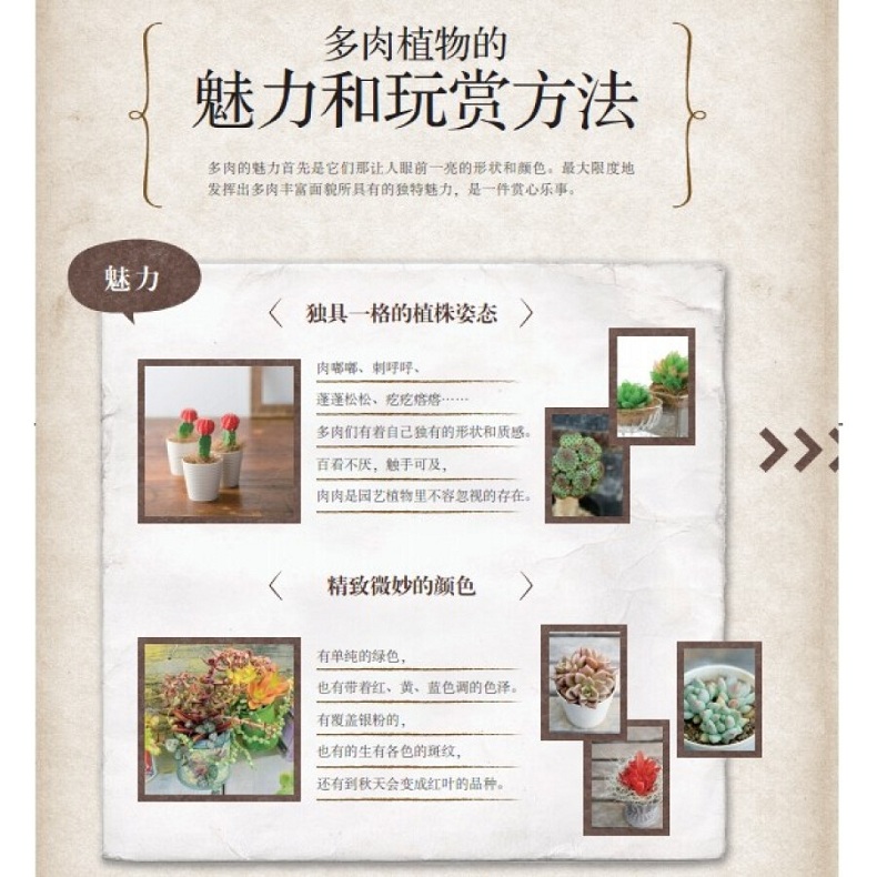 [醉染正版]多肉植物玩赏手册 绿手指园艺丛书 零基础养多肉书籍大全多肉书籍多肉植物书籍养多肉的书花艺养花花卉养殖书籍多肉高清大图