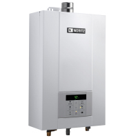 能率牌燃气热水器GQ-13D2AFEX(LPG)