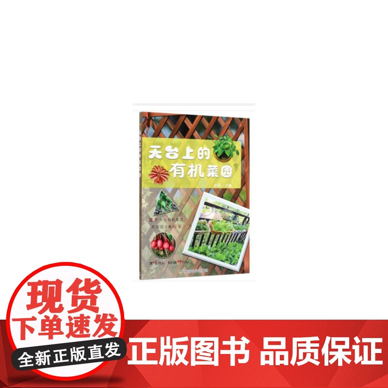 天台上的菜园高清大图