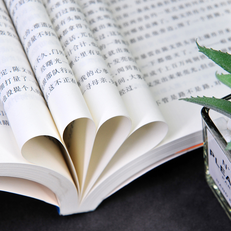 [正版] 第二个太阳 茅盾文学奖获奖作品全集 平装 刘白羽 人民文学出版社高清大图