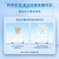 冷酸灵抗敏感牙膏牙刷套装极地白泵式牙膏+120克3支装牙膏+4支牙刷组合装 家庭装