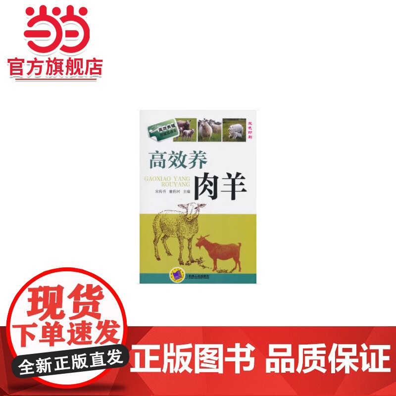 养肉羊