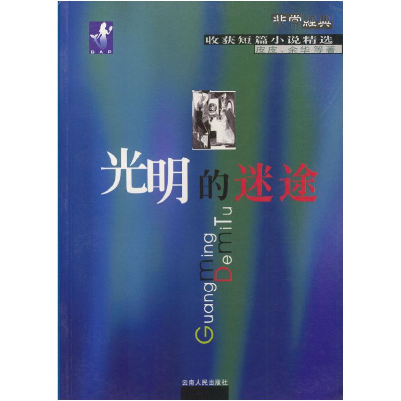 正版新书】光明的迷途皮皮9787222033993