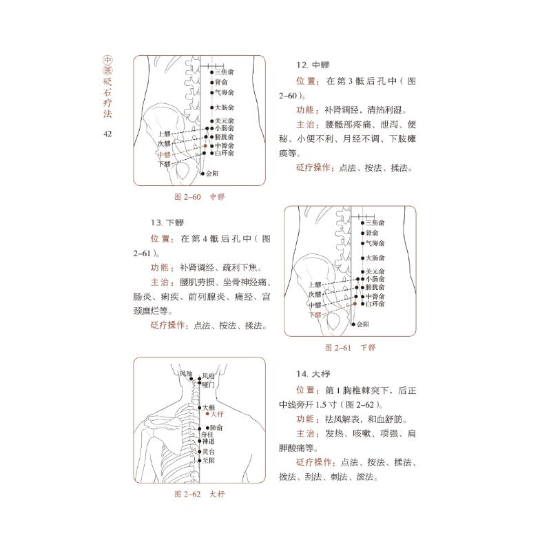 醉染图书中医砭石疗法9787521426571高清大图