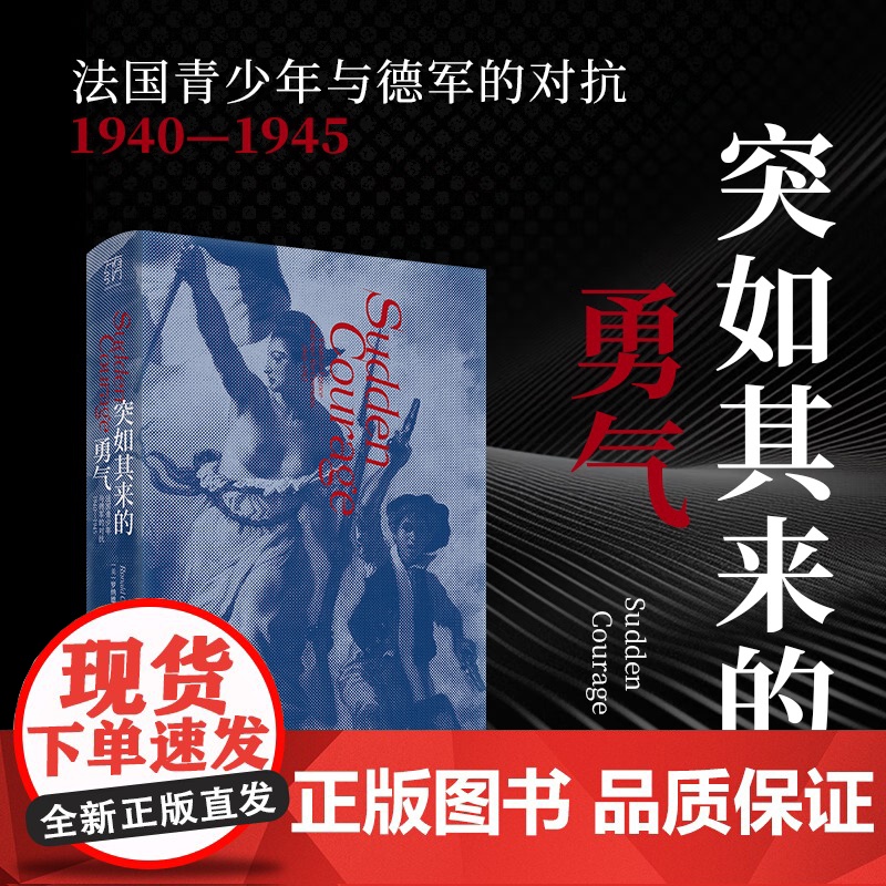 突如其来的勇气万有引力书系法国抵抗运动二战勇气战争历史世界史戴高乐维希法国贝当犹太人在残酷的世界里孩子不得不早早长大高清大图