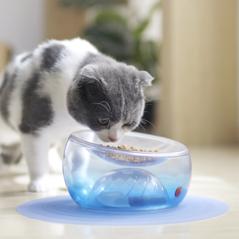 好命天生 宝藏猫碗 两面用猫食盆 猫咪双面水碗宠物斜口喂食碗猫咪餐具猫用食具水具