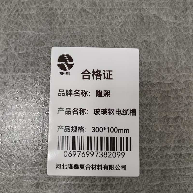隆熙+玻璃钢电缆槽+300*100mm+米高清大图
