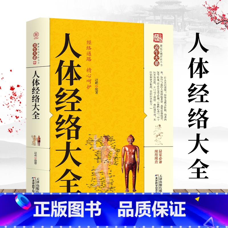 【正版】养生大系--人体经络大全图解手法 经络穴位快速记忆 全身经络书籍大全 零基础入门学会手法筋络中医养生 经络图册使