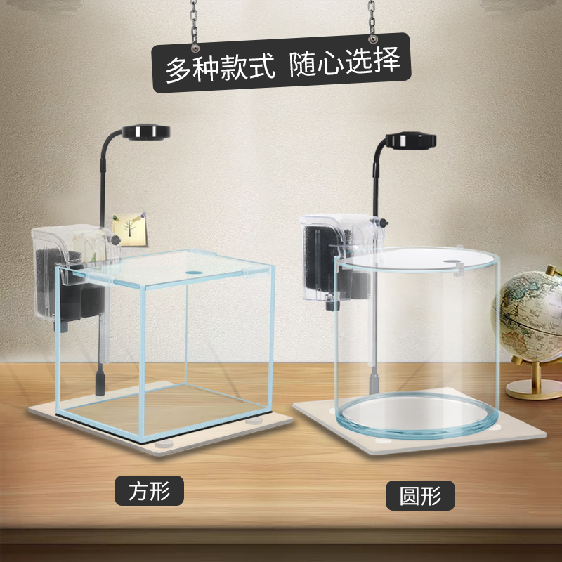鱼缸小型 免换水创意桌面生态鱼缸客厅金鱼缸水造景家用小鱼缸高清大图