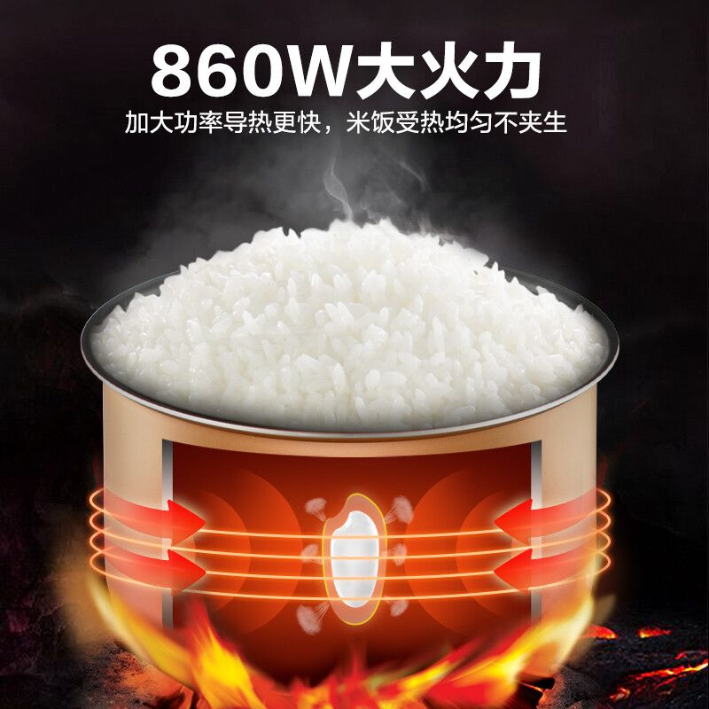 苏泊尔 SF50FC996 电饭煲(台)高清大图
