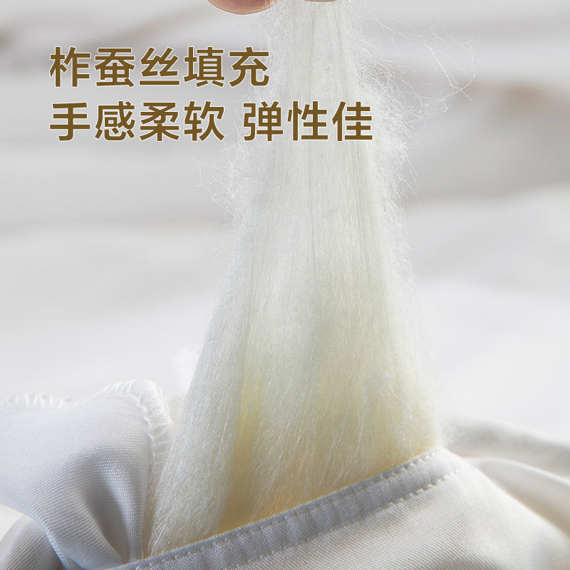罗莱家纺 秋冬蚕丝被子被芯单双人床致柔四季二合一蚕丝被蚕丝被子母被二合一蚕丝被100中长丝绵被冬被加厚加厚冬被6斤高清大图