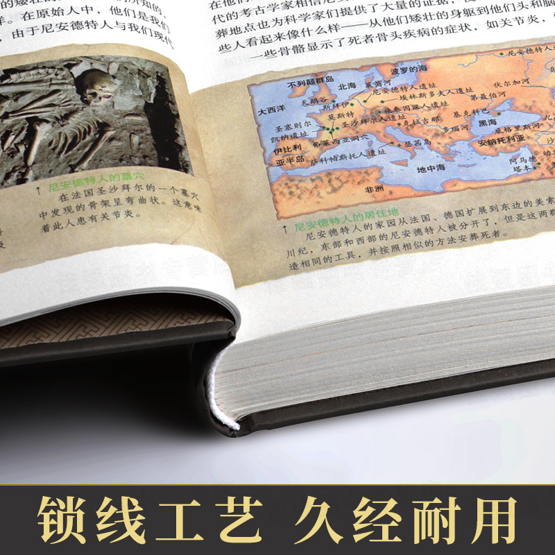 [醉染正版]全球通史 青少年全彩版 卡尔顿海斯穆恩写给初高中学生的历史常识知识书籍一本简明的通俗世界历史小从部落到国家上高清大图