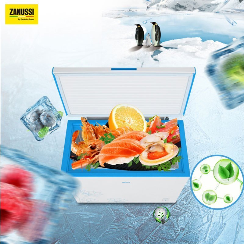 扎努西·伊莱克斯/ZANUSSI ZCM2080LPA 208L通体大容量 家商两用 节能静音卧式冷柜