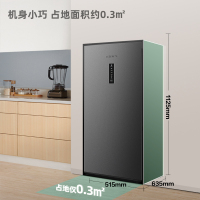 新飞冷柜130升风冷无霜变频一级能效家用立式冰柜BC/BD-130WLKAT