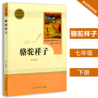 骆驼祥子 七年级下册初中生名著阅读课程化丛书人教版中学课外同步拓展阅读初一7年级下课本配套经典读物 人民教育出版社