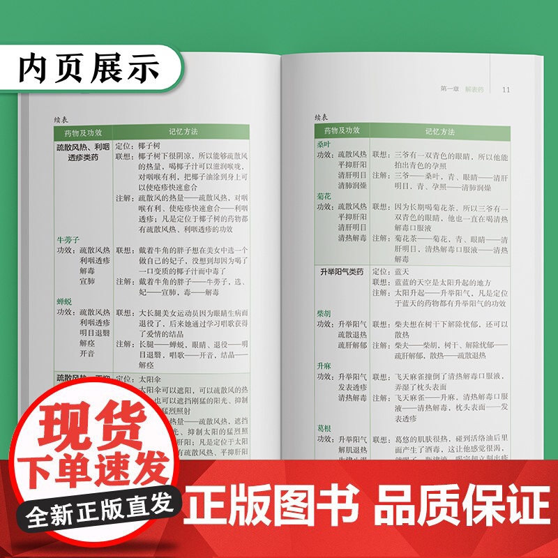 最强大脑速记中药学 新版 口袋书掌中宝 400常用中药功效快快记忆法 中药学口袋书中医入门书籍备考高效中药学速记歌诀药学高清大图
