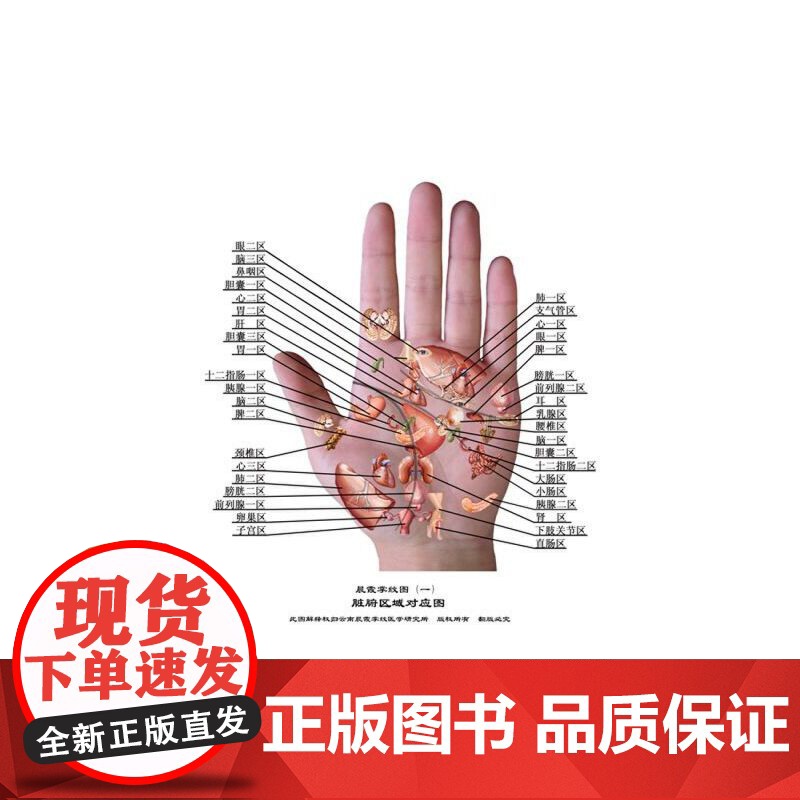 [央视网]王晨霞掌纹图典 王晨霞掌纹诊病治病手诊手疗图解精要实用图谱书籍 中医基础理论女性血压高健康保健看手相之谜大全G高清大图