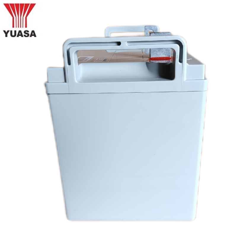 汤浅YUASA阀控式铅酸蓄电池NPL100-12H 18节12V100AH 组高清大图