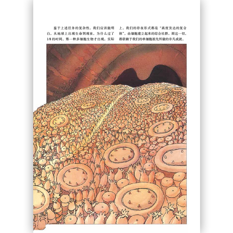 正版新书]生命的运作方式[美]马伦·霍格兰(Mahlon Hoagland)978高清大图