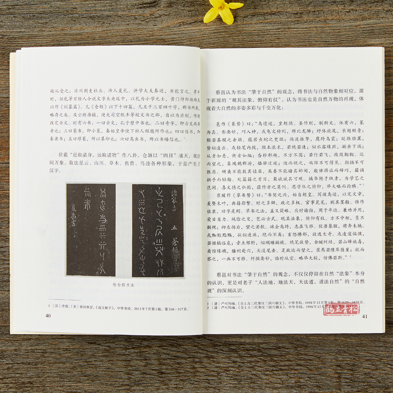 [正版]汉 蔡邕 笔论 九势 解析与图文互证 中国历代书法理论研究丛书 汉字书法理论书籍毛笔书法发展史书法书籍读物 中高清大图