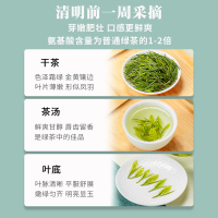 麓雨天目湖白茶2022新茶上市溧阳白茶明前特级江苏常州特产绿茶茗茶嫩芽生态浓香茶叶散装罐装100克