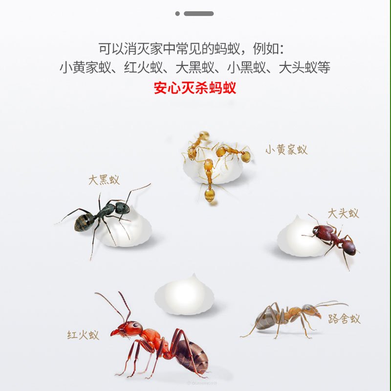 蚂蚁药家用室内外灭杀蚁一除净厨房卧室大小端蚂蚁窝非无毒饵剂