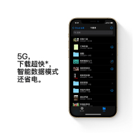 Apple iPhone 12 Pro Max 128G 金色 移动联通电信5G全网通手机