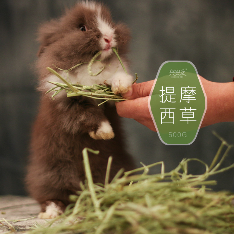 兴兴文提摩西草兔子牧草豚鼠粮草龙猫提摩西多省500克3袋