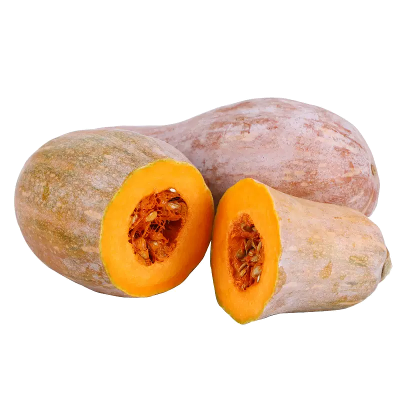 [西沛生鲜]云南新鲜老南瓜 净重4-5斤 当季蔬菜宝宝辅食农家自种老品种南瓜高清大图