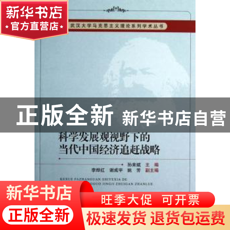 正版 科学发展观视野下的当代中国经济追赶战略 孙来斌主编 中国高清大图